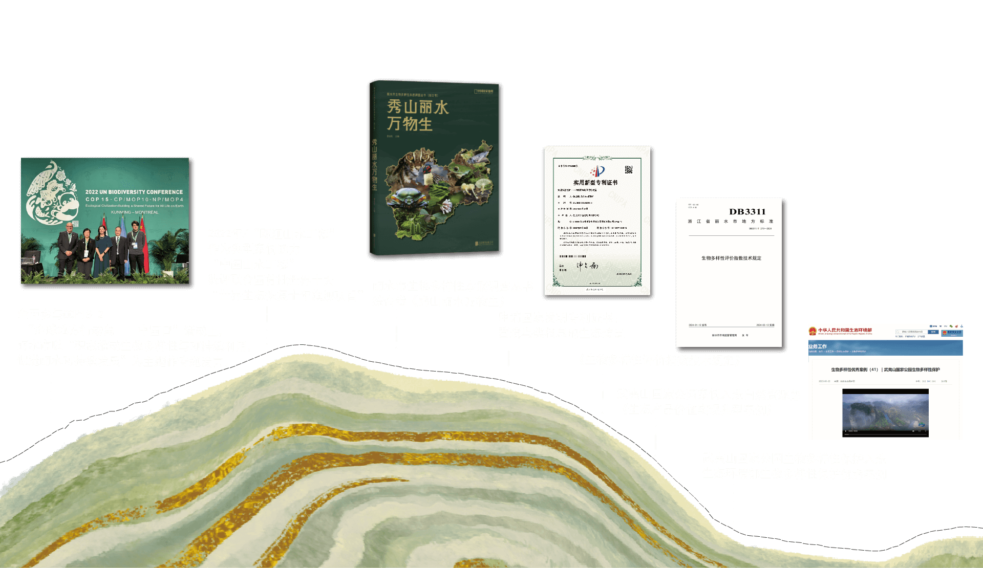瓯江山水工程项目成就