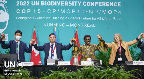 全球生物多样性框架在COP15上获得通过-图源CBD