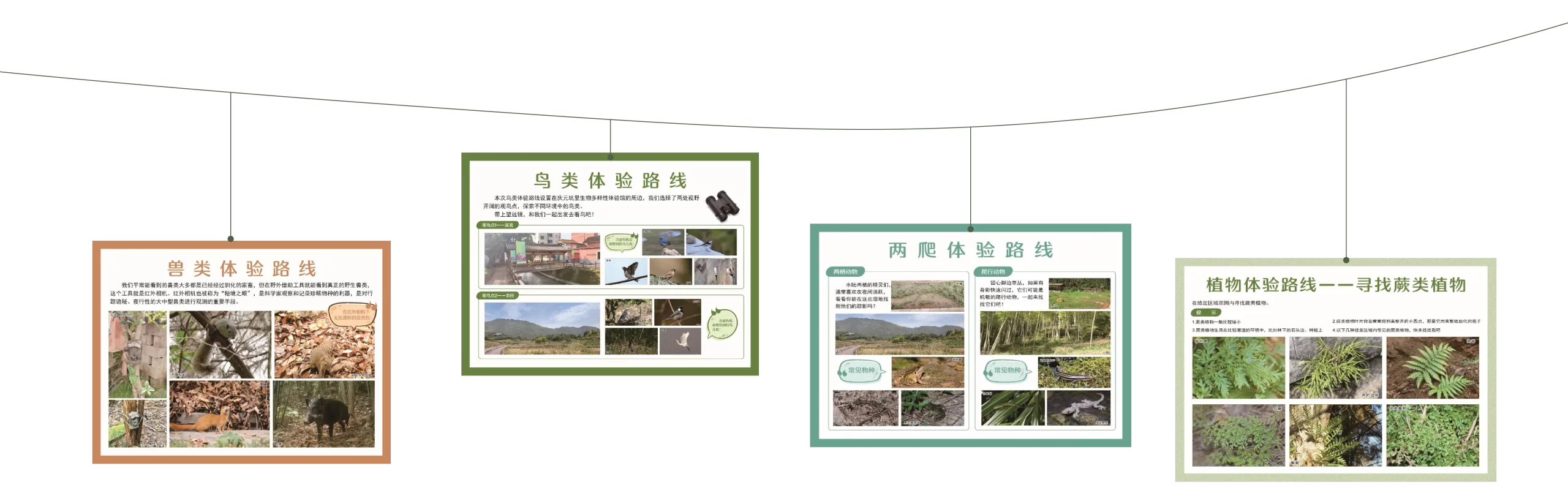 天宁生态集团-生物多样性研学
