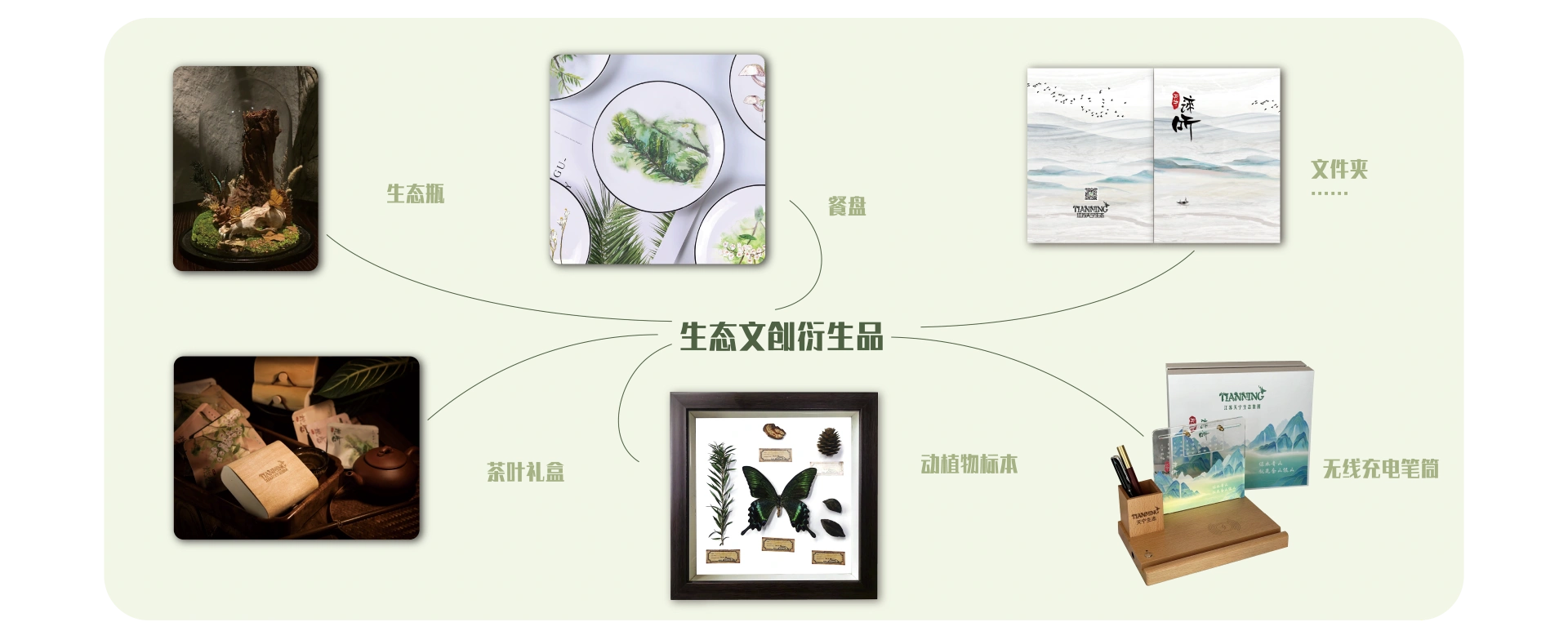 天宁生态集团-生物多样性文创
