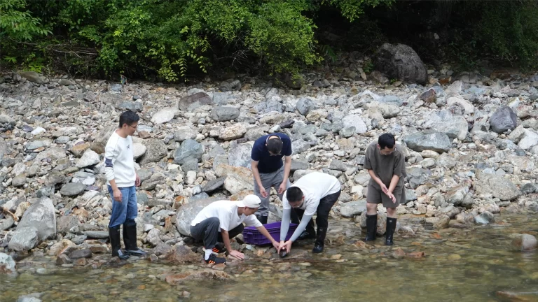 生物多样性-农业-庆元大鲵等水生生物多样性保护与生境修复
