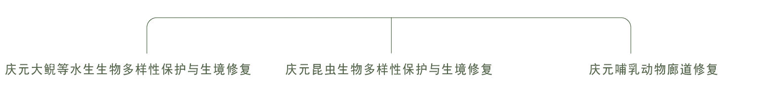 天宁生态-生态经济价值转换-农业 生境修复