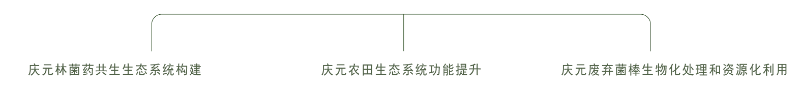 天宁生态-生态经济价值转换-农业