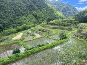 农田生态系统功能提升