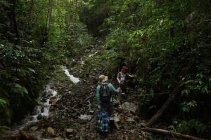 武夷山国家公园生物多样性本底调查