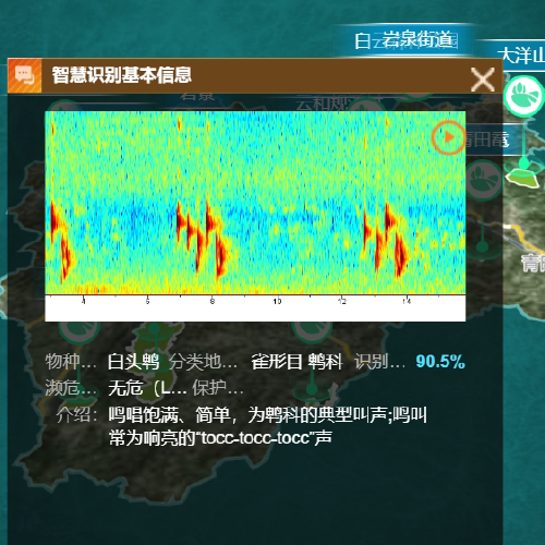天宁生态 鸟类鸣声智慧识别